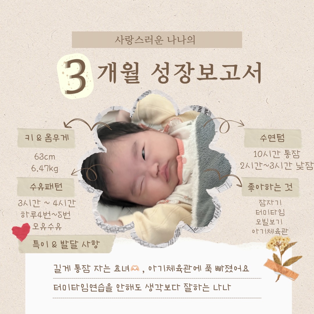 콘텐츠