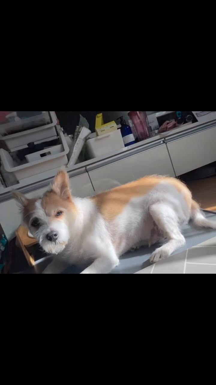 리뷰