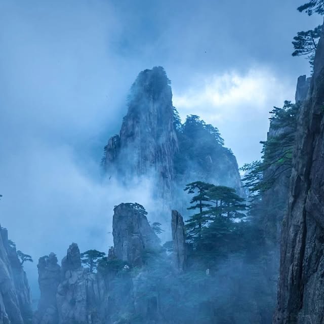 황산은 계절마다 다른 색으로 다시 태어난다 🌸

봄의 황산은 두견화가 산을 부드럽게 물들이고, 제운산(齐云山)과 비산(碧山)의 유채꽃은 사진 속 배경을 환하게 만들어준다. 다른 구와 현에서도 계절마다 꽃이 이어져서, 어디를 가도 봄의 장면을 만날 수 있다.
초여름에는 비파, 한여름에는 복숭아와 포도, 가을에는 감까지. 과일이 익어가는 계절에 맞춰 여행하면 풍경뿐 아니라 맛으로도 계절을 기억하게 된다. 팁은 꽃과 과일은 시기가 중요하니 출발 전 개화와 수확 정보를 확인하기.
한국에서 계절 여행을 좋아한다면, 황산은 봄꽃부터 여름 과일, 가을 감성까지 여러 번 다시 오고 싶은 곳이다.

#황산봄여행 #두견화 #유채꽃 #중국계절여행 #과일여행