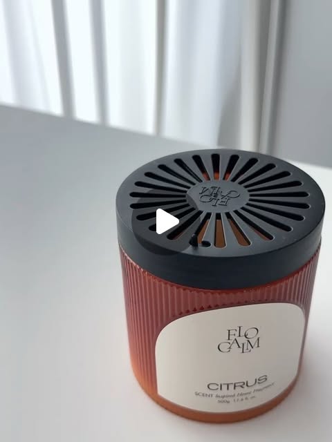 플로캄 대용량 고체탈취제