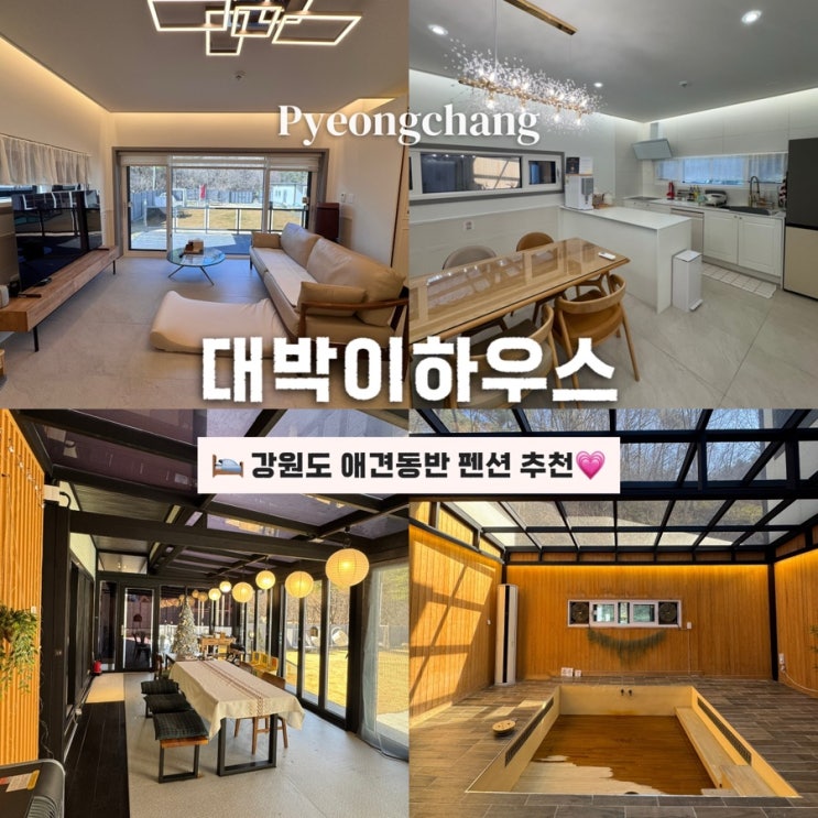 강원도 애견동반 펜션 평창 독채펜션 풀빌라 대박이하우스