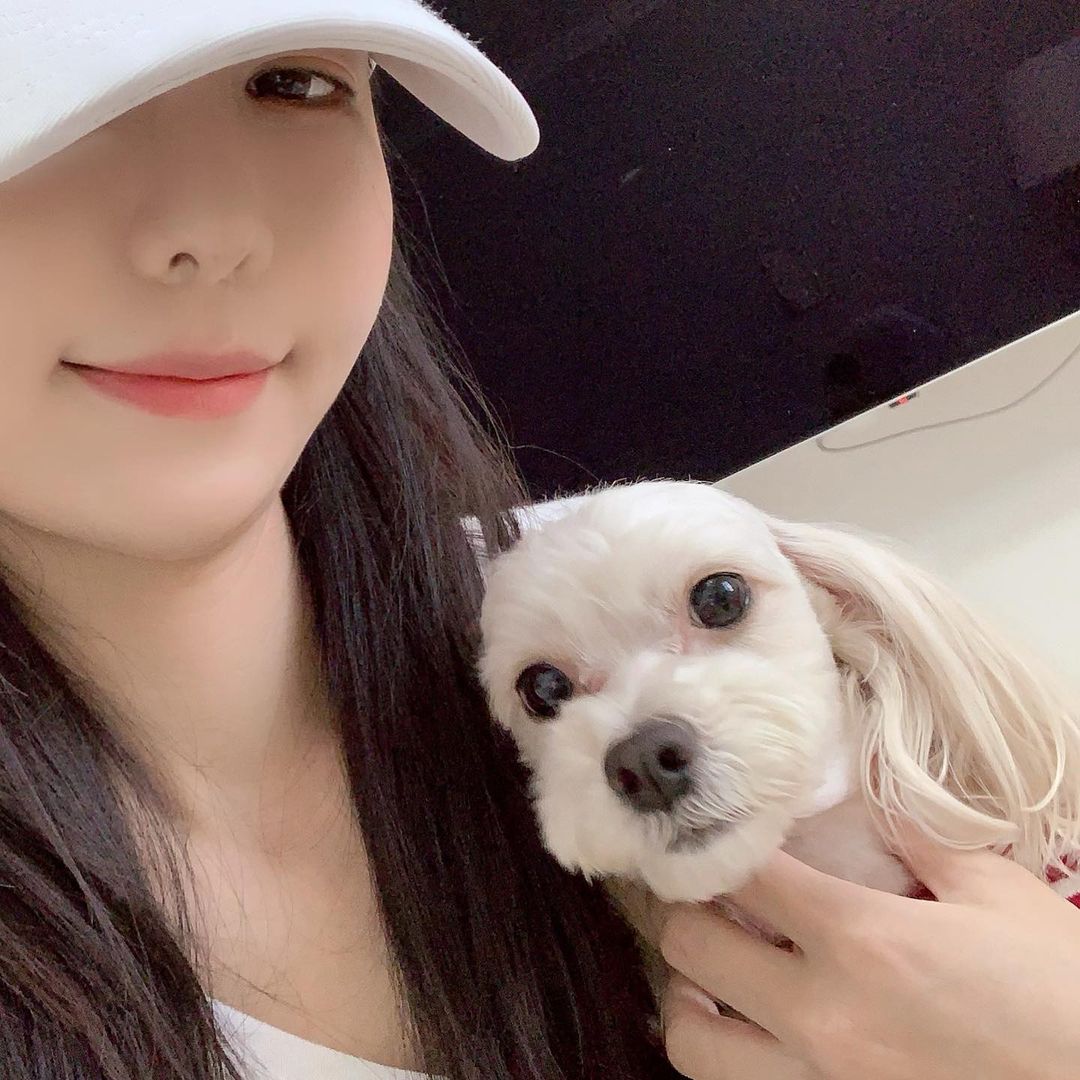 쟈니네🏠 on Instagram: “#광고 #협찬 소중한 우리가족 또또를 위해 좋은 취지의 챌린지에 참가하게 되었어요🐶 #NOTTOY챌린지 는 반려동물을 장난감이 아닌 소중한 우리 가족으로 상기시키는
