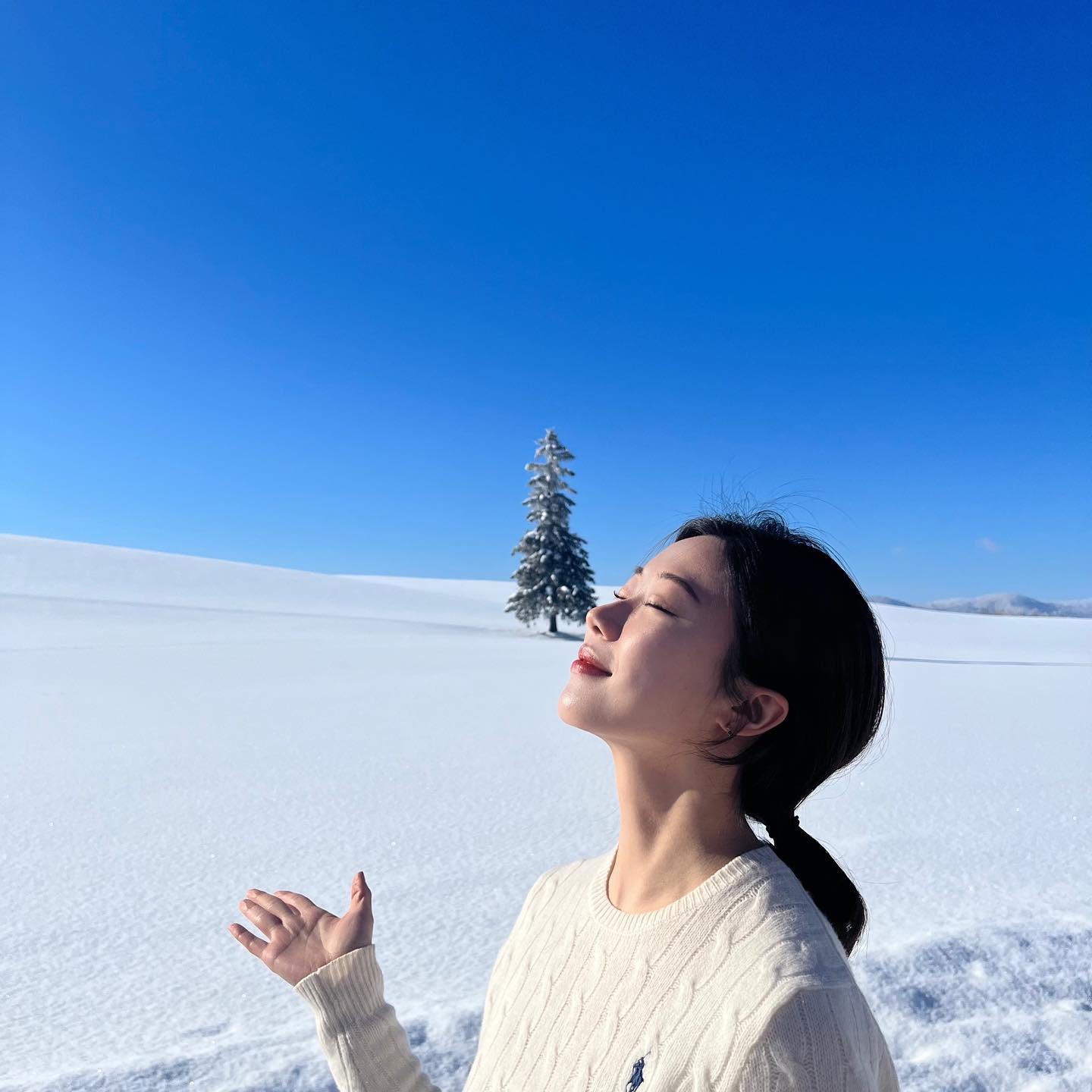 콘텐츠