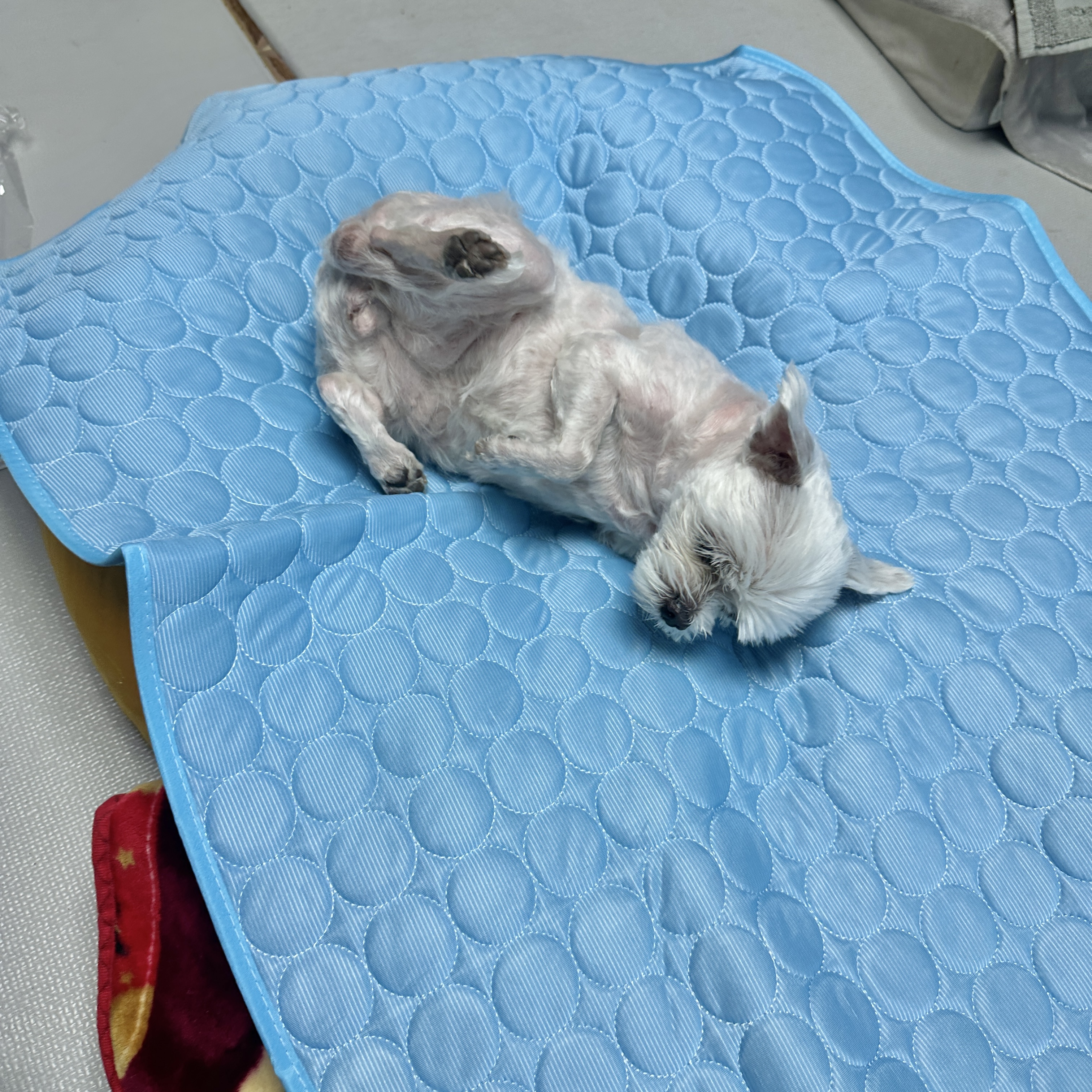 콘텐츠