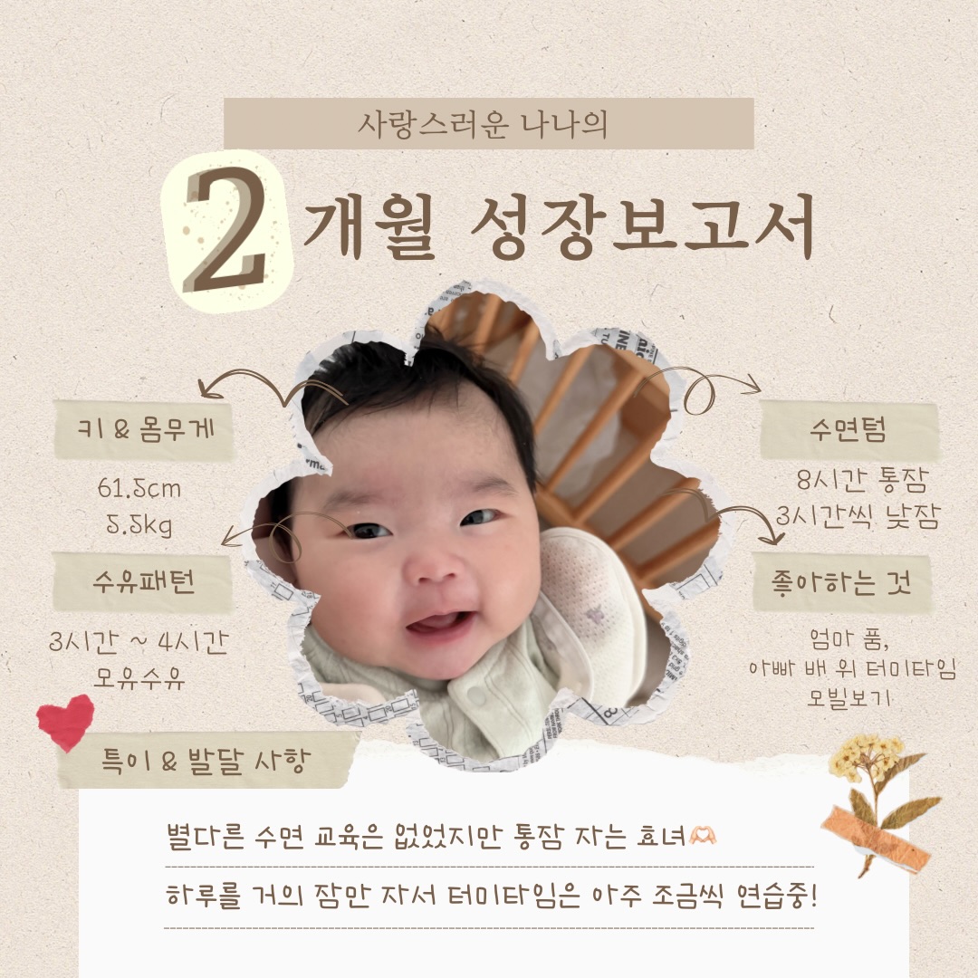 콘텐츠
