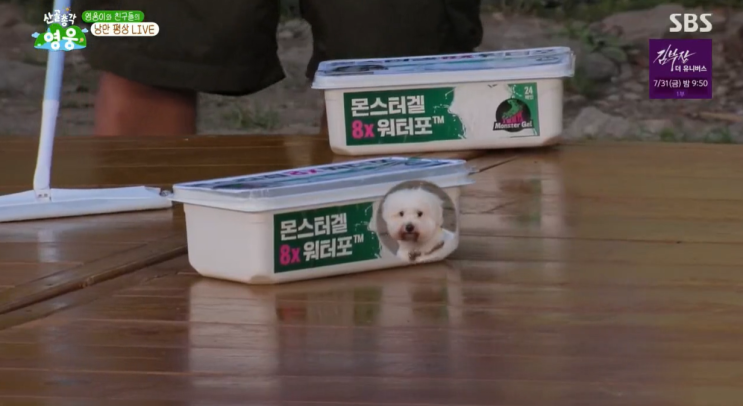 몬스터갤 블로그 기자단 모집