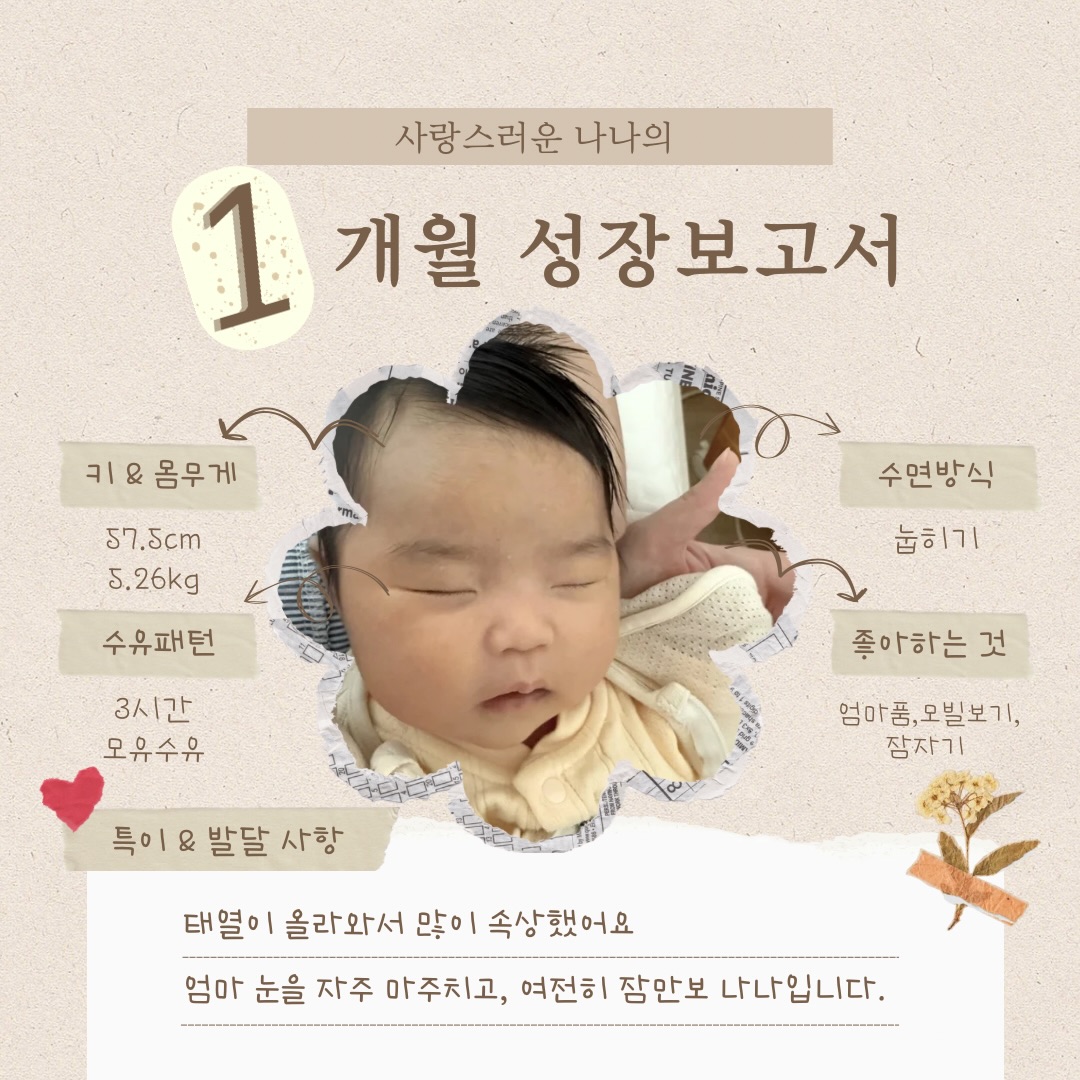 콘텐츠
