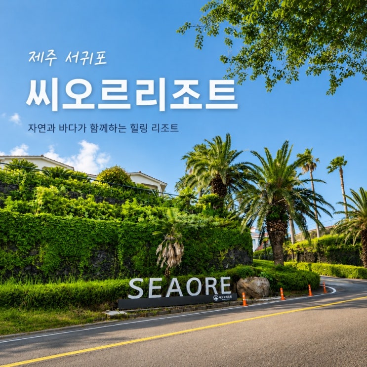 제주 서귀포 호텔추천 씨오르리조트, 오션뷰 수영장 있는 제주 리조트 예약