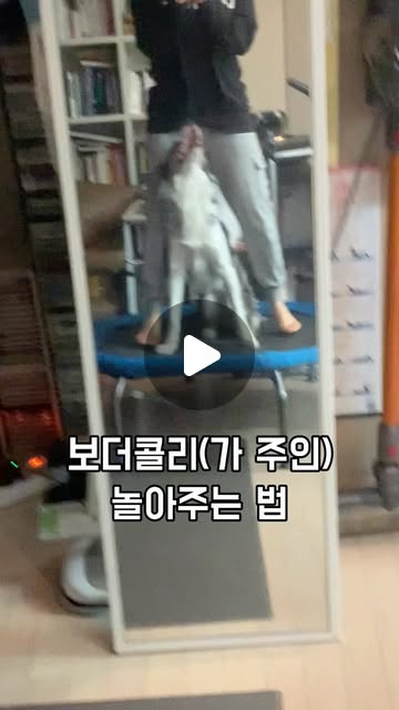 콘텐츠