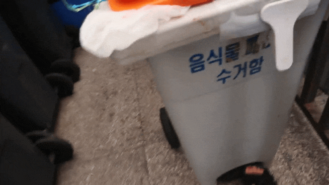 [버그넷] 버그넷 플라이킥 (네이버블로그)