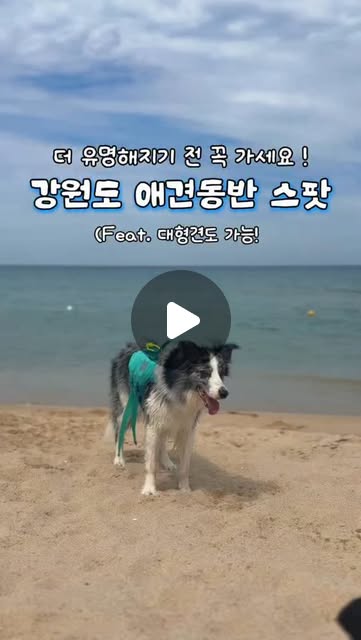콘텐츠