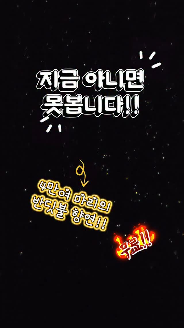 콘텐츠