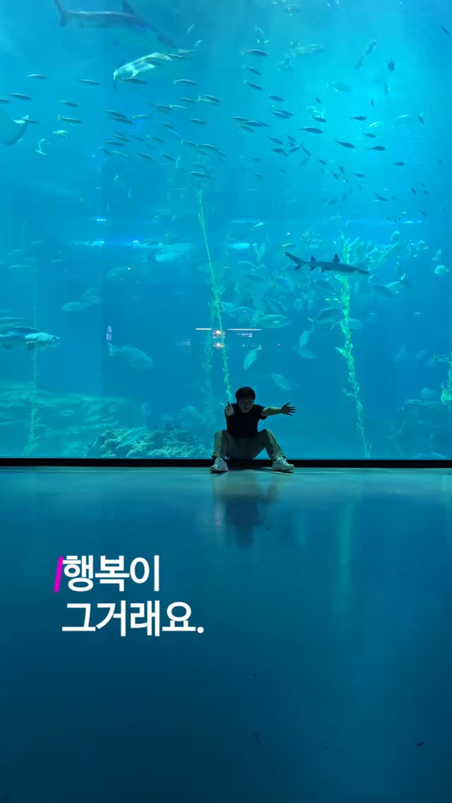 콘텐츠