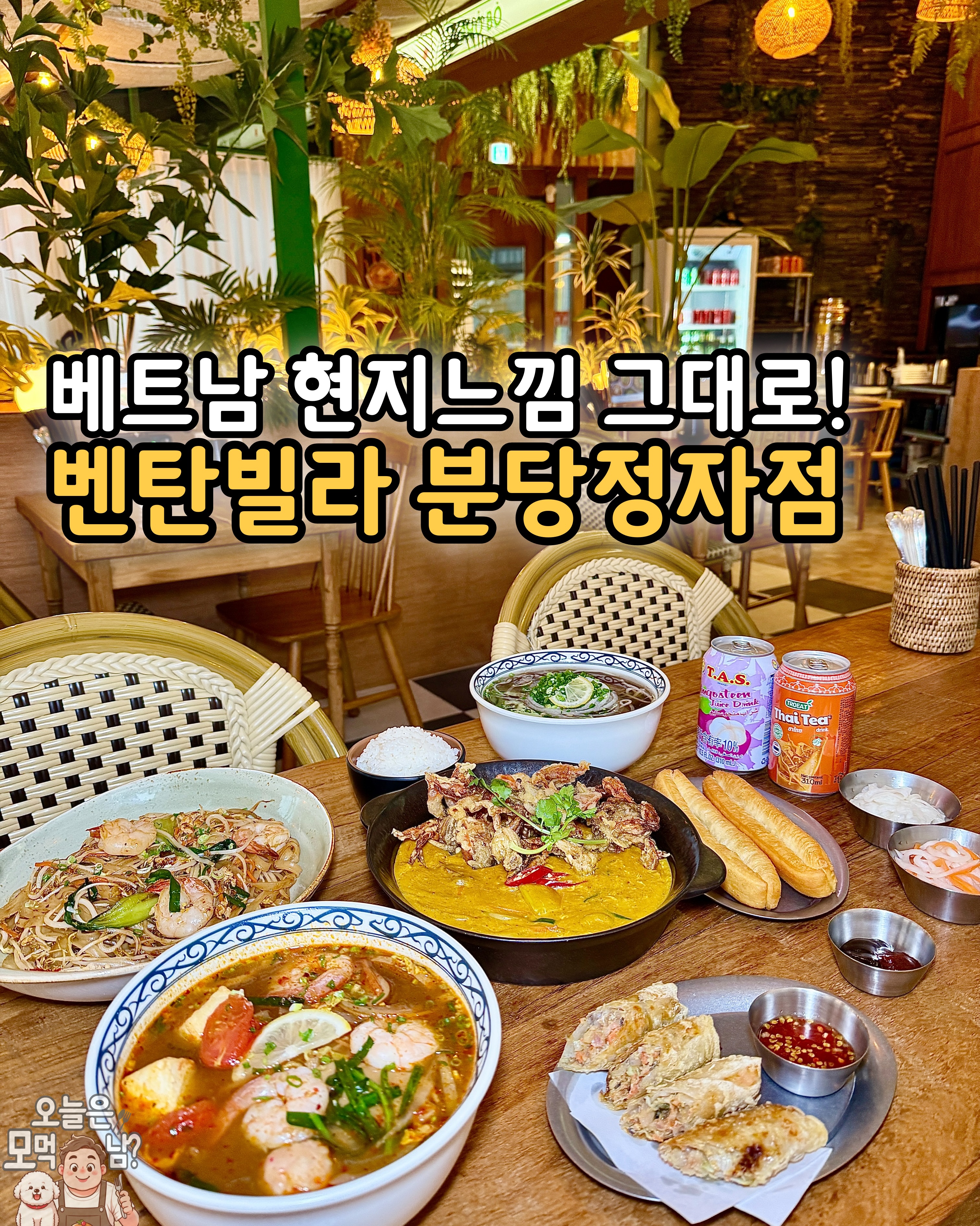 콘텐츠
