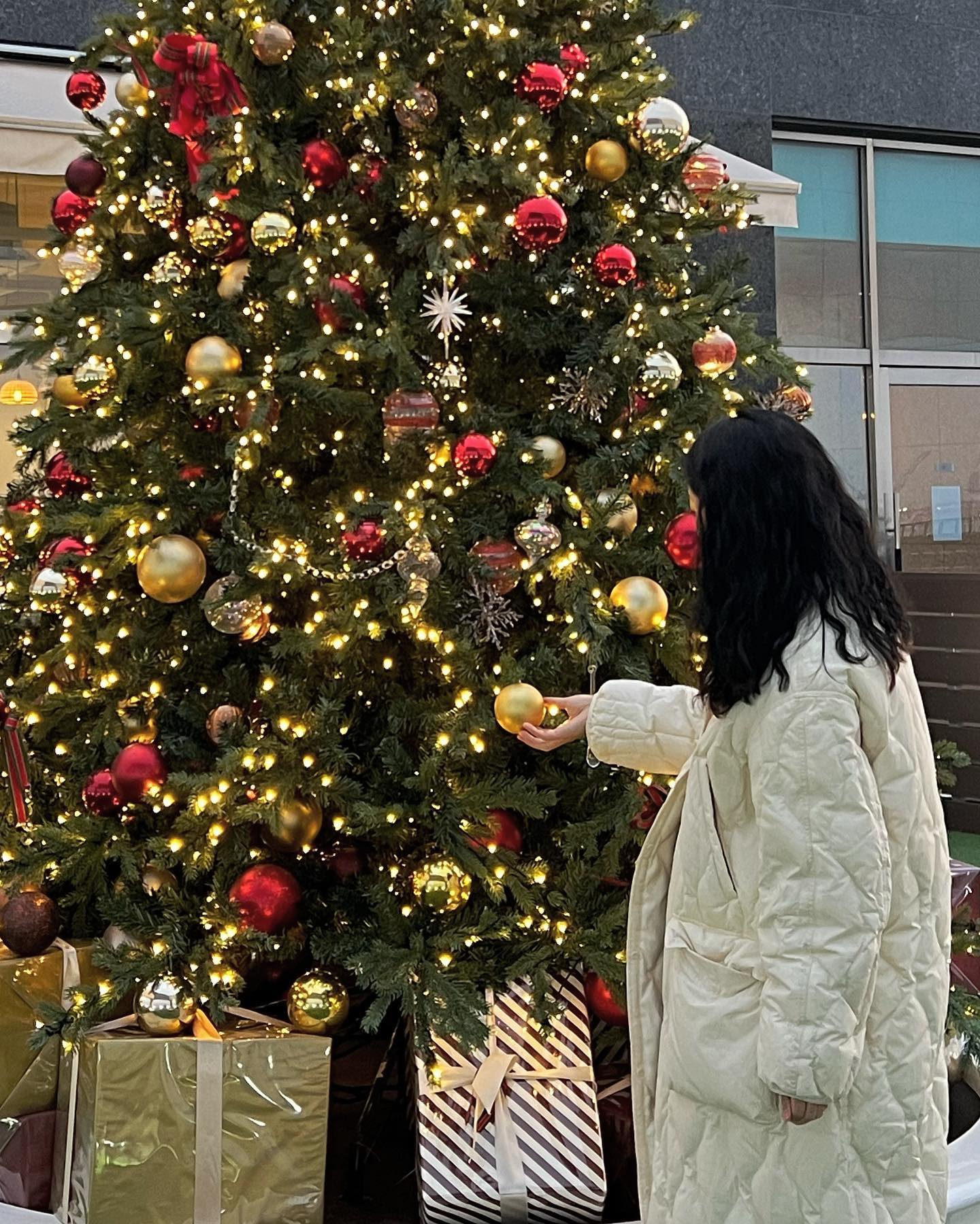 계속 보러 갈 트리🎄
