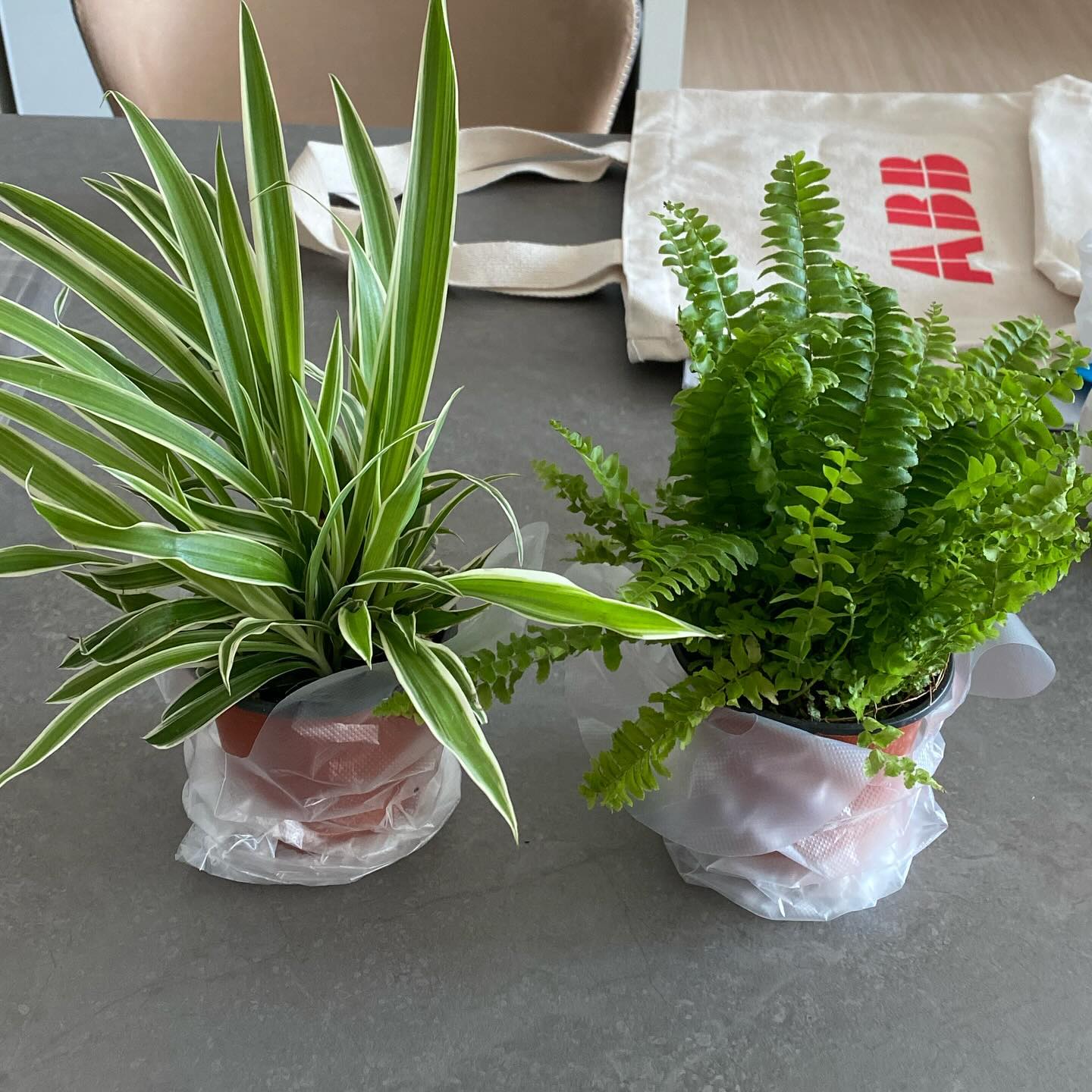 화분 넘 예뻐
