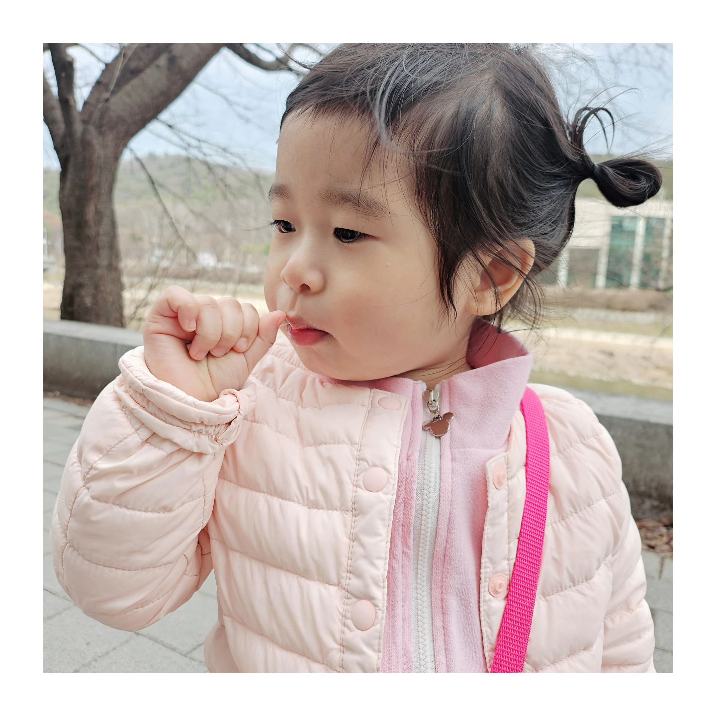 사탕 문 그녀
요새 사탕에 뜻하지
않게 입문 사탕🍭