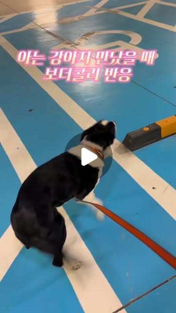 콘텐츠