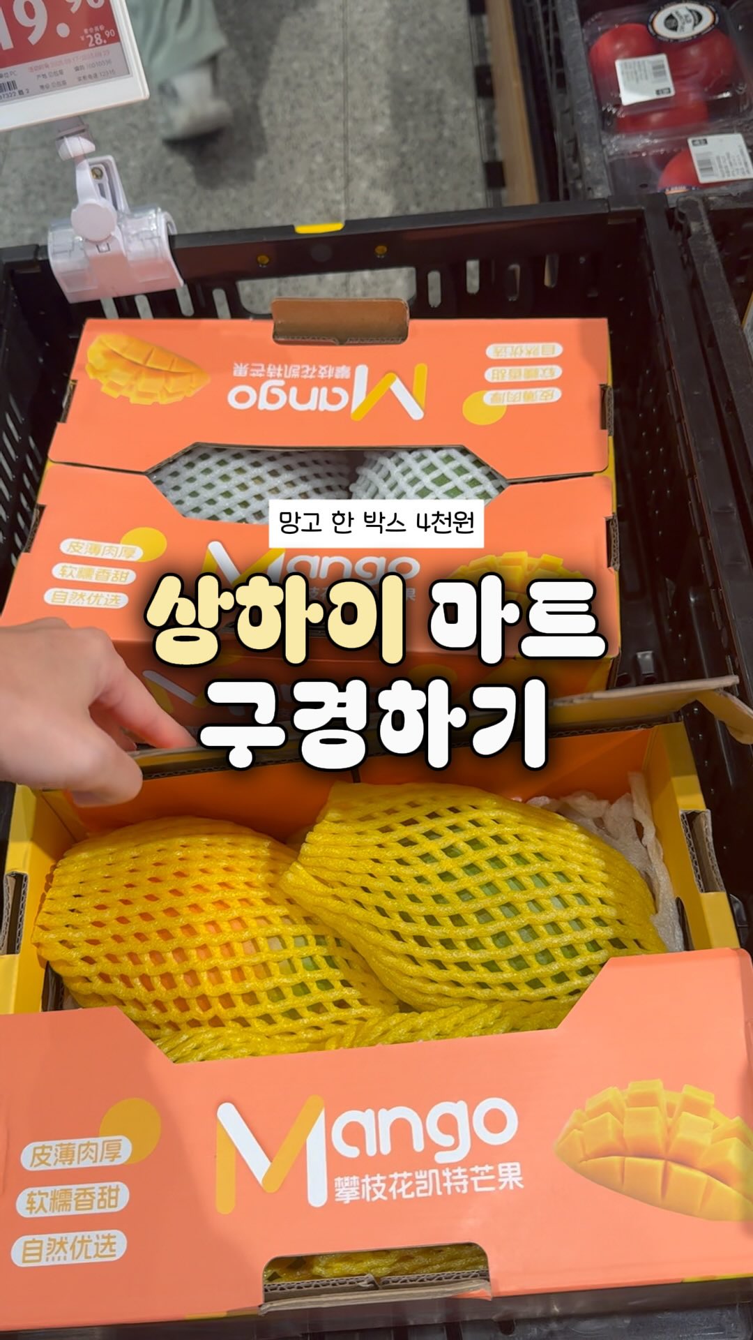콘텐츠
