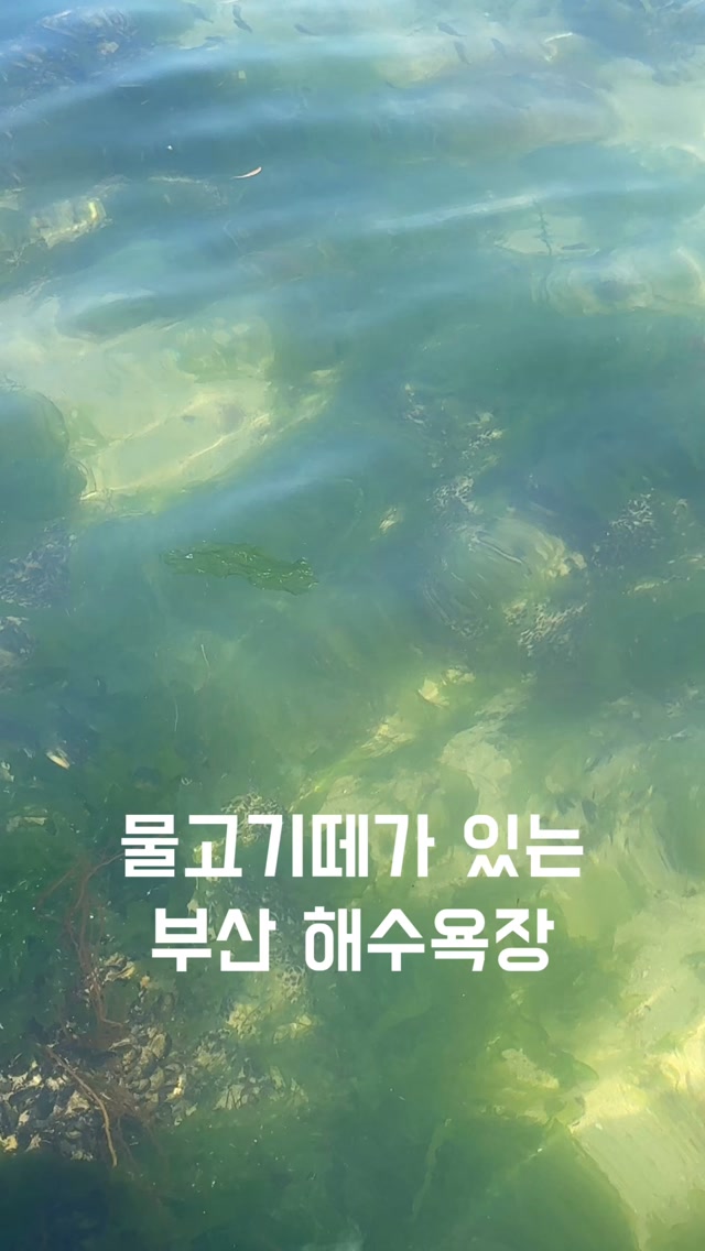 콘텐츠