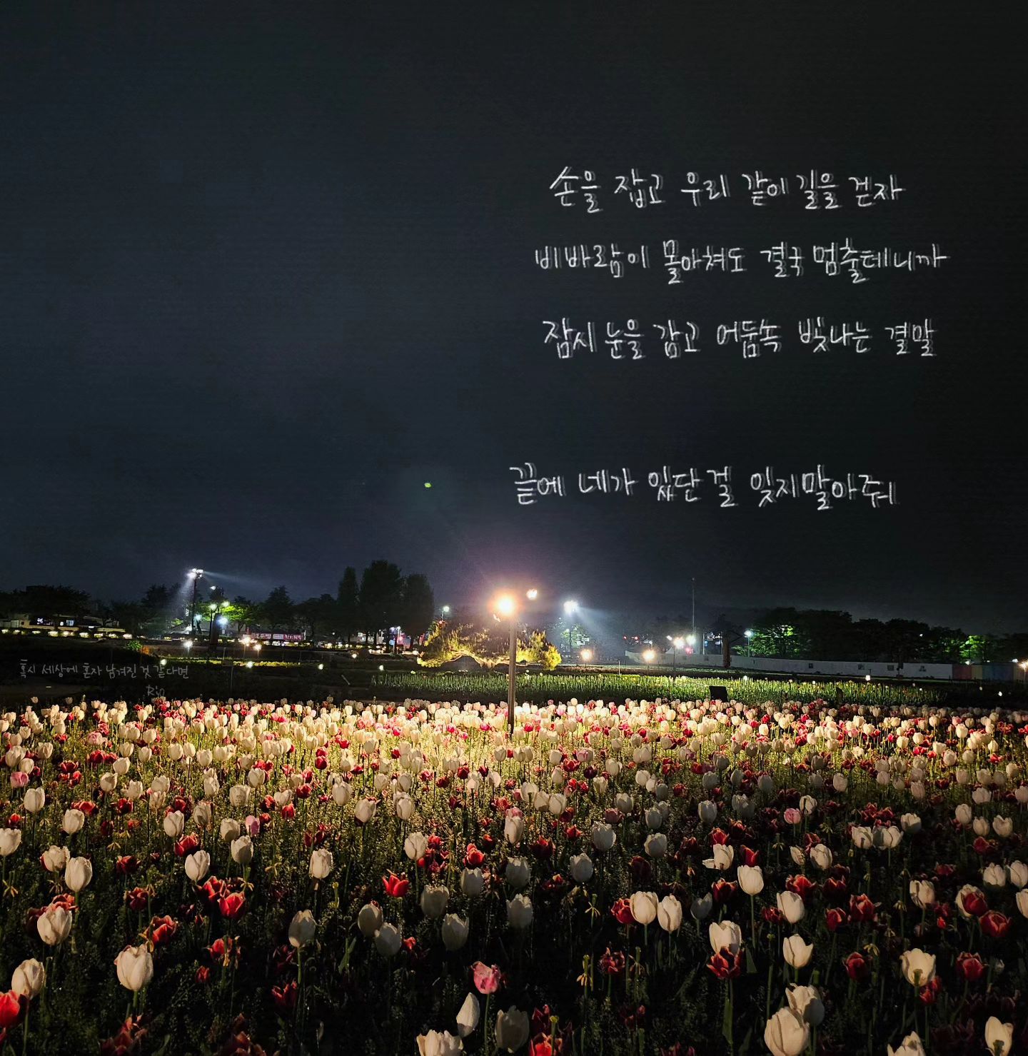 비오는 날 튤립도 꽤 괜찮아.
.
.
#혹시세상에혼자남겨진것같다면 
#튤립 #야간스냅  #경주
#경주튤립 #첨성대야경 #첨성대
#포항캘리  #daily #일상 #프로크리에이트
 #감성충전 #캘리그라피