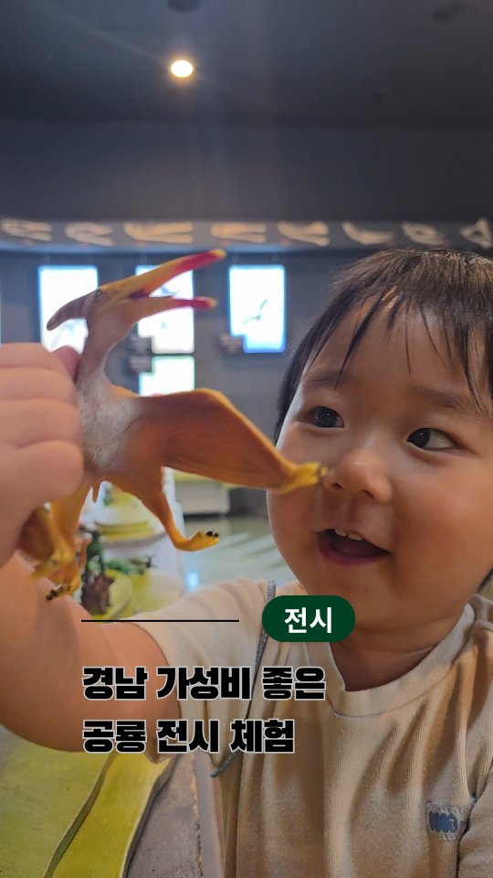 콘텐츠