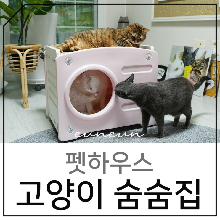 고양이 숨숨집 튼튼하고 관리하기 쉬웠던 펫하우스