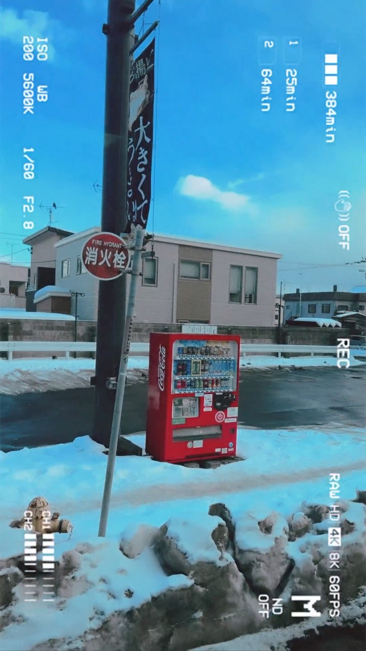 콘텐츠