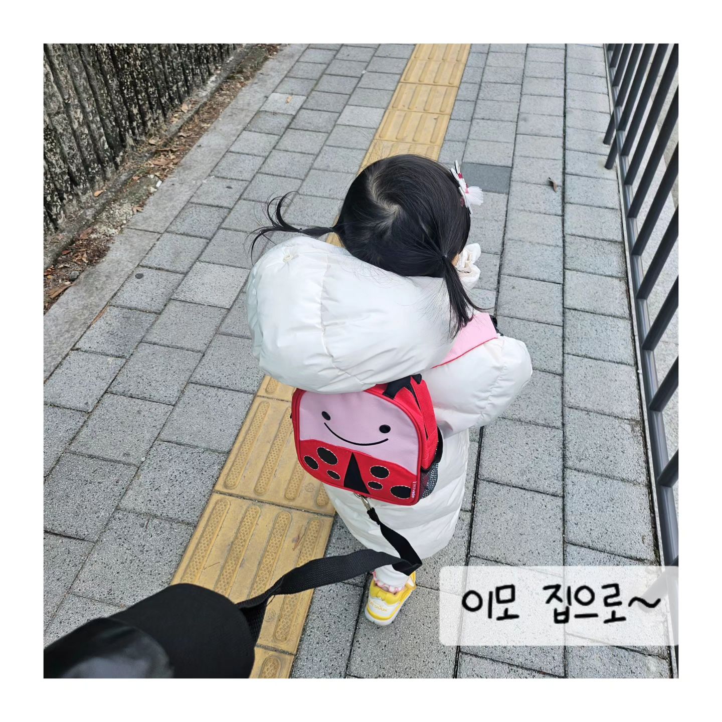 설연휴
#1.이모신혼집
버스타고 슝슝
인생첫버스♡
이모발견하고
마구뛰는 울집 강아지ㅋ

#설 #미아방지가방 #버스타기