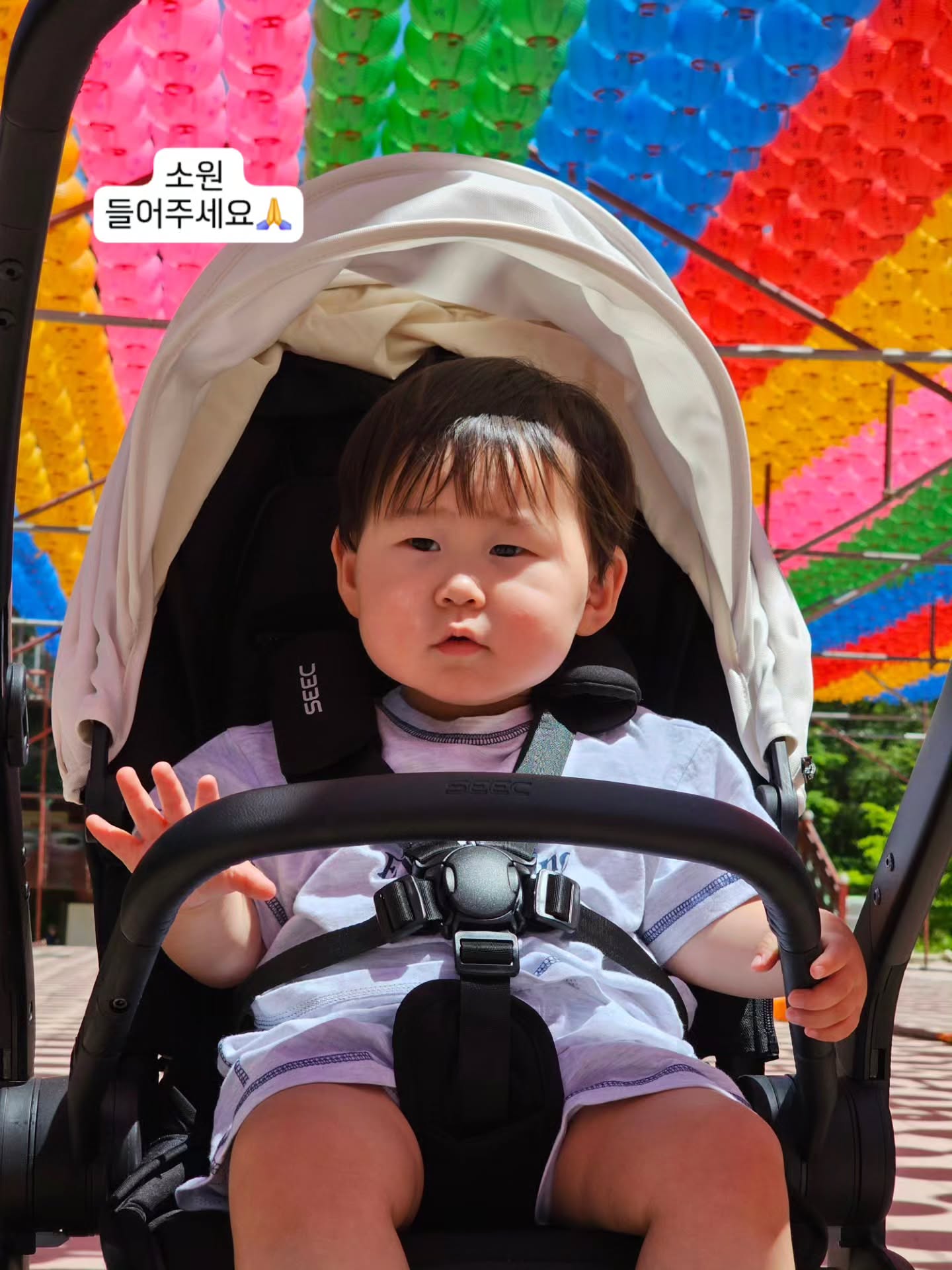 콘텐츠