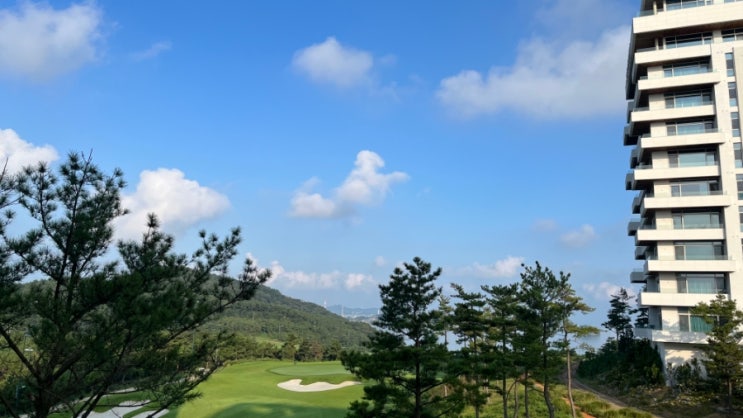 더헤븐 리조트