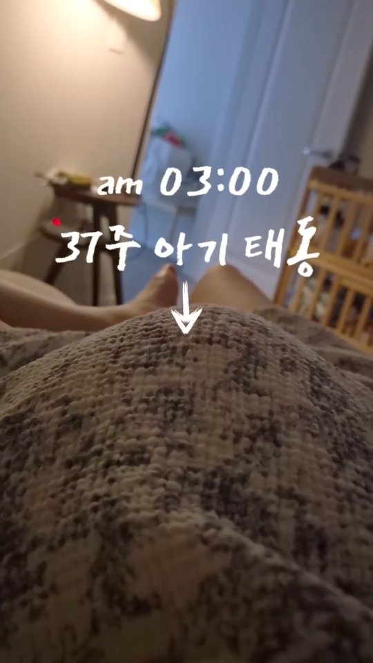 콘텐츠