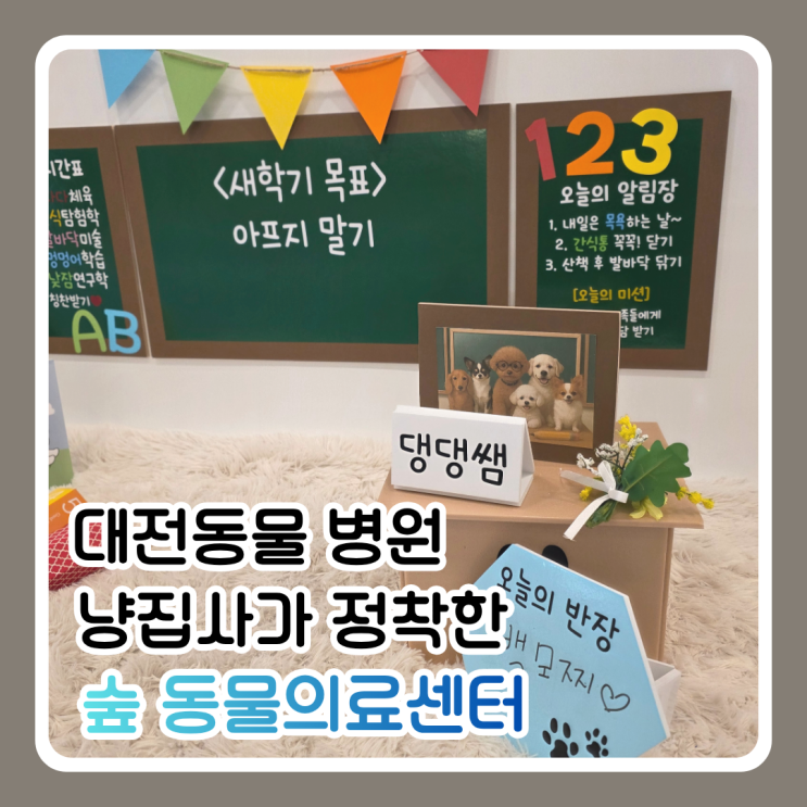 대전동물병원 냥집사가 정착한 숲 동물의료센터