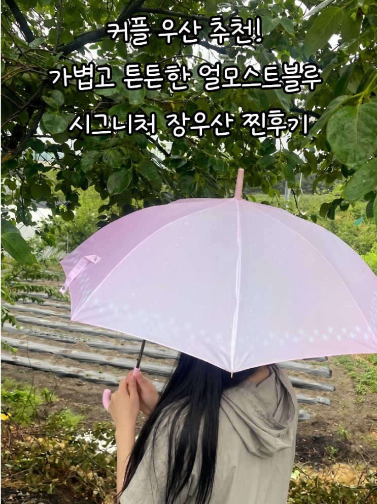 커플 우산 추천! 가볍고 튼튼한 얼모스트블루 시그니처 장우산 찐후기