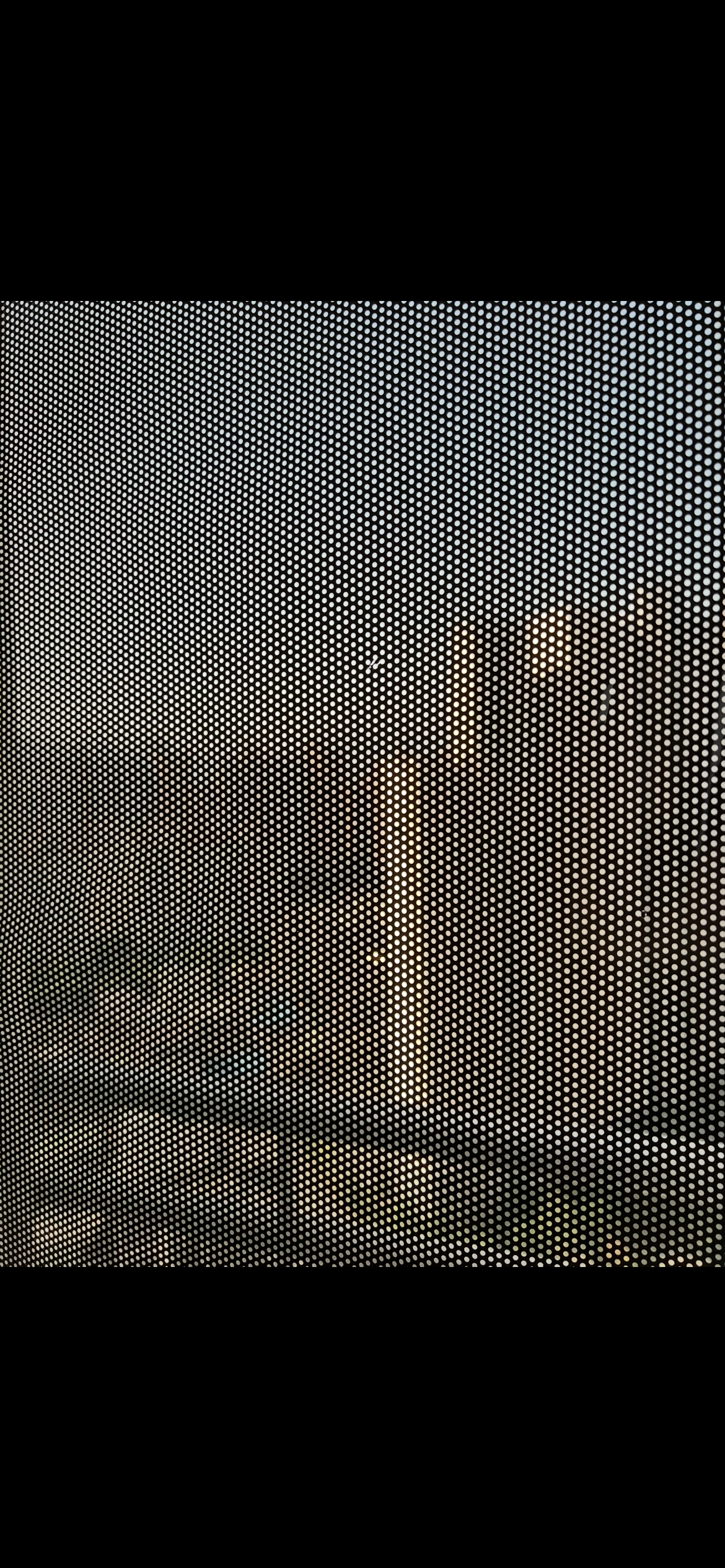 콘텐츠