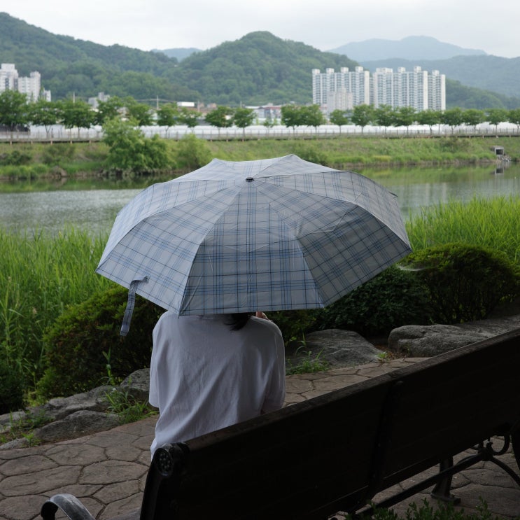 여름 미니백에 쏙! 다이소 양우산 패스하고 정착한 초경량 암막 우양산 브랜드 추천 얼모스트블루 후기