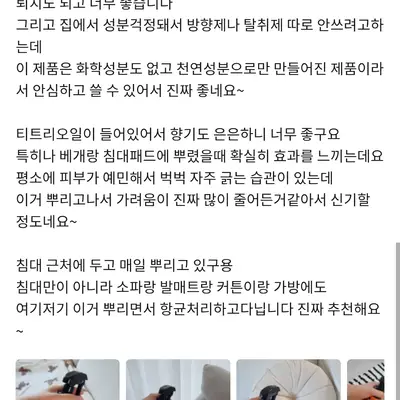[버그넷] 버그넷 베드샷 (올리브영)