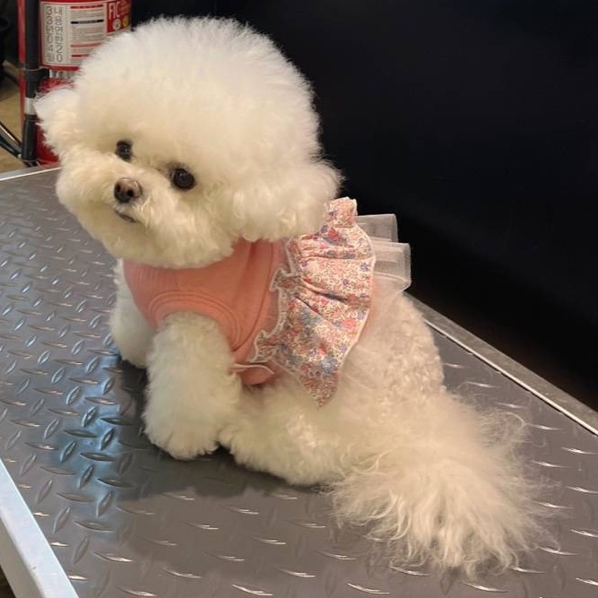 제품 촬영, 모델, 광고 7