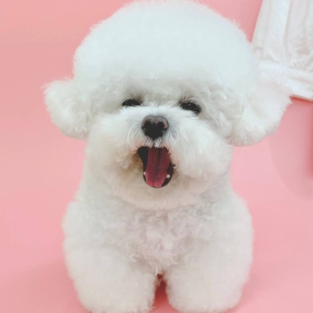 제품 촬영, 모델, 광고 2