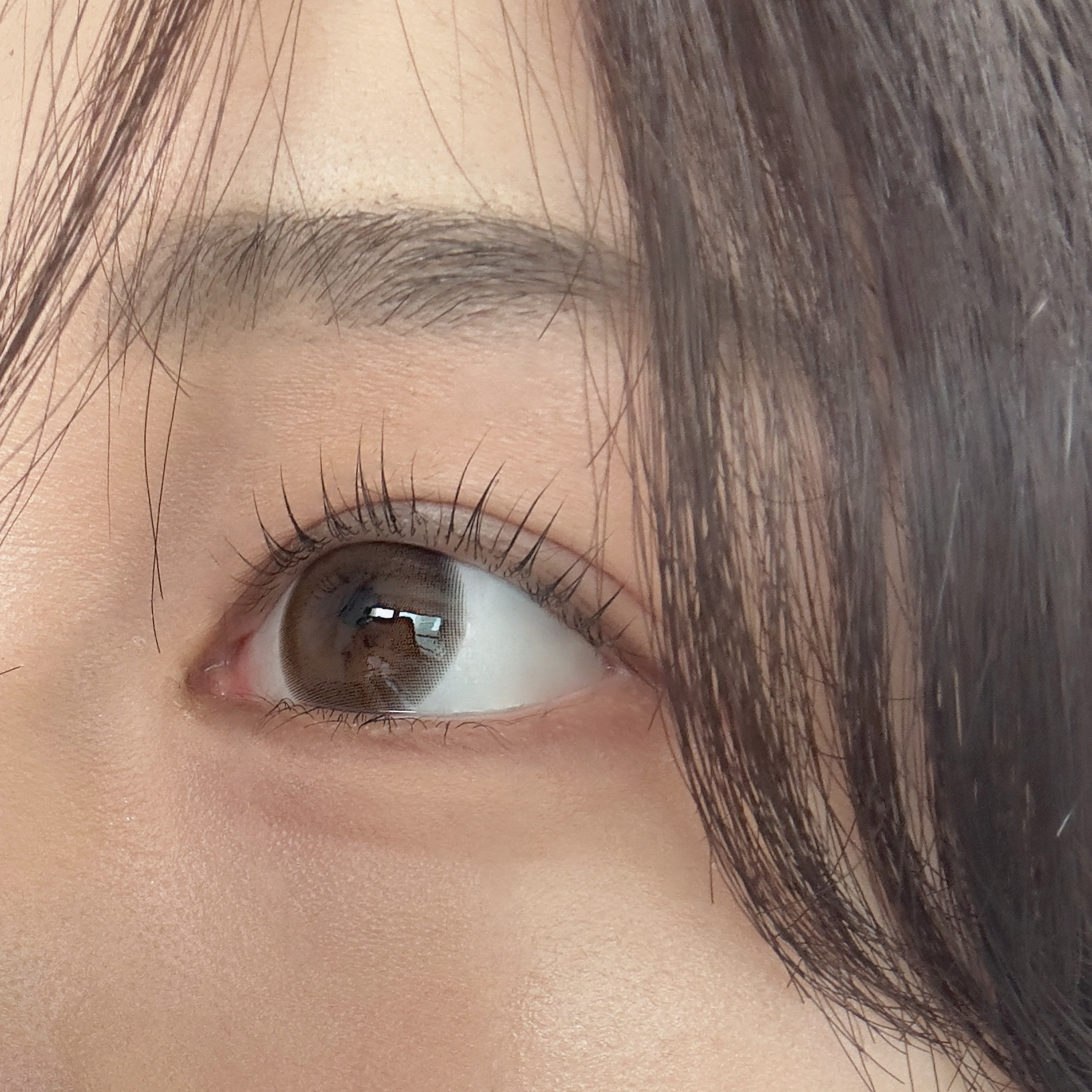 렌즈홍보 5