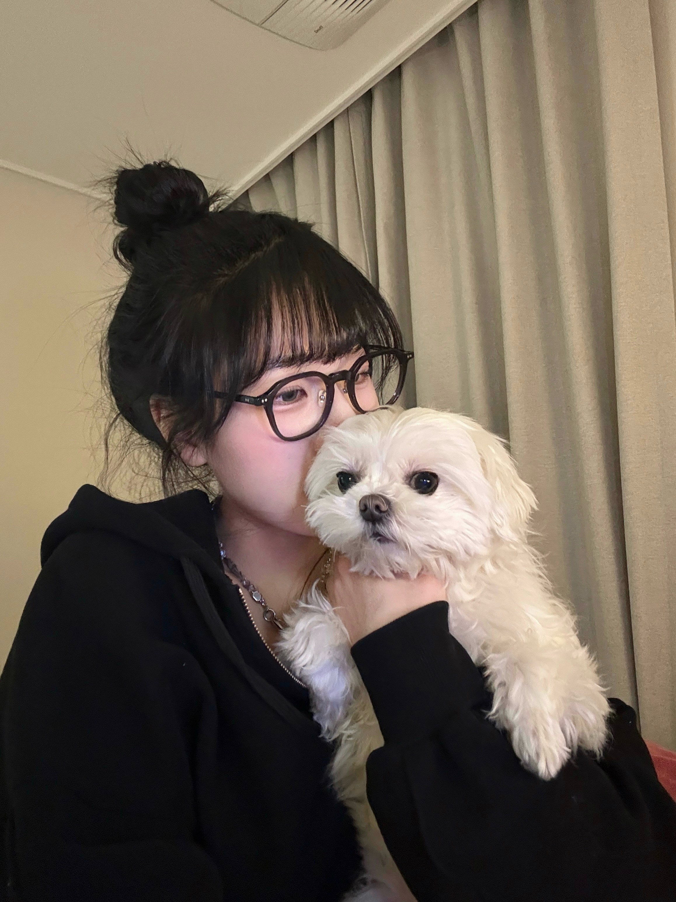 홈페이지 사용 사진제공 3