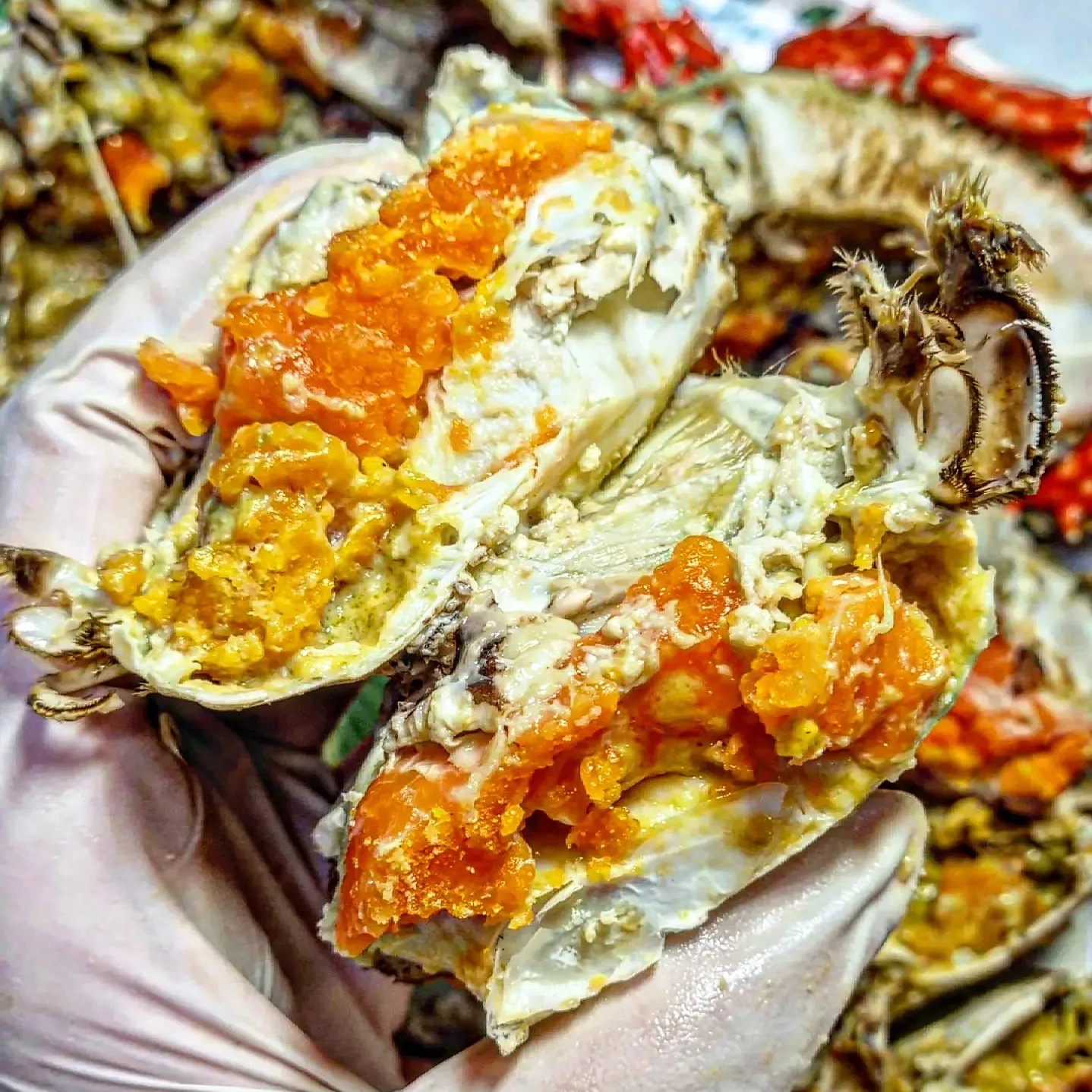 식품 직접 요리&플레이팅&맛집까지 상세하게 리뷰하는 서비스  7
