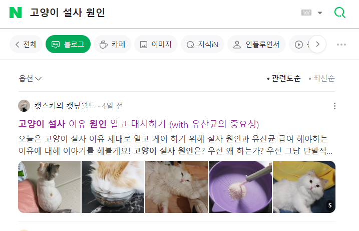 반려동물 제품 촬영 및 블로그 업로드 가능 5