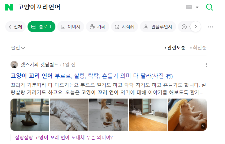 반려동물 제품 촬영 및 블로그 업로드 가능 2