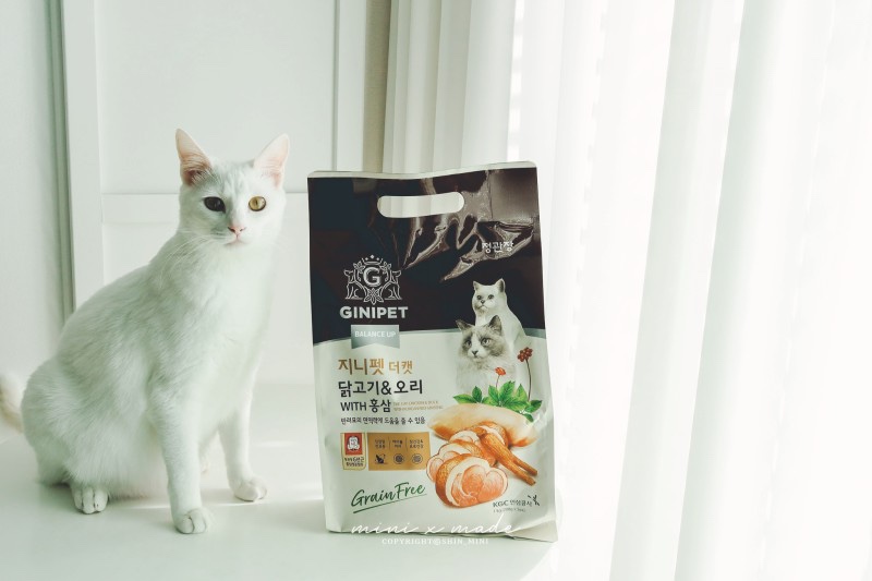 반려동물 모델 서비스 7