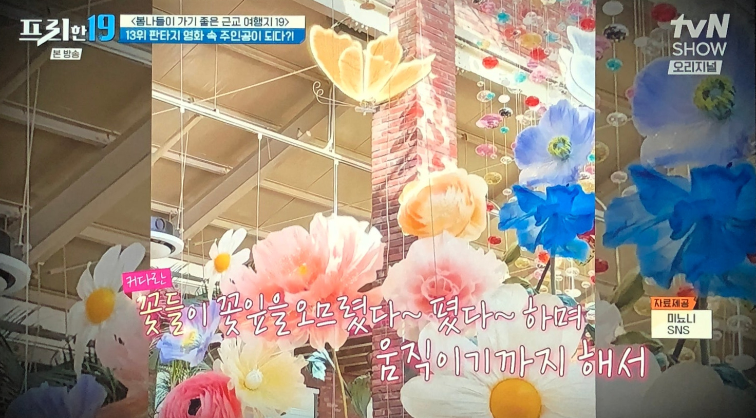 최적블로거 & 인스타 (숙소/촬영/핫플/관광지) 전문적 서비스 리뷰🏡 7