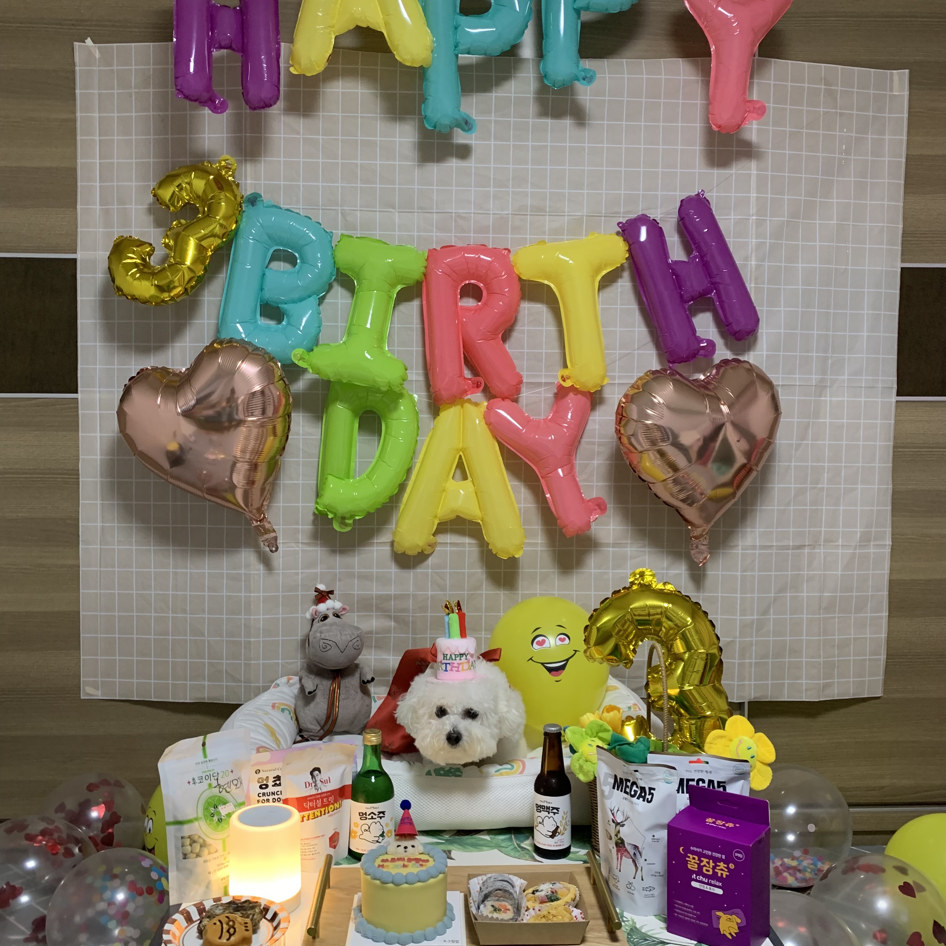 반려동물 촬영 및 반려동물 제품들 컨셉에 맞춰 사진촬영 해드려요! 6